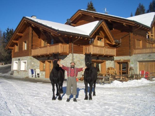 Agriturismo Chalet Caribona Villa Valdisotto Eksteriør bilde